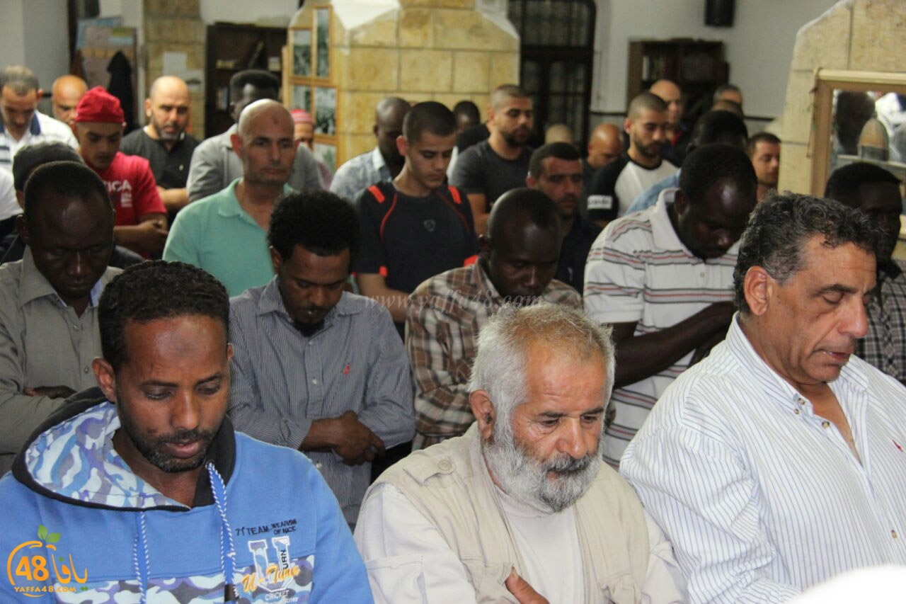 trawe7 salahsaj (2).jpg